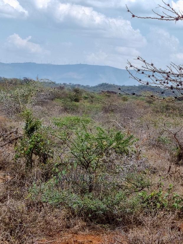 45 Acres Saikeri at 850k Per Acre - thumbnail 6