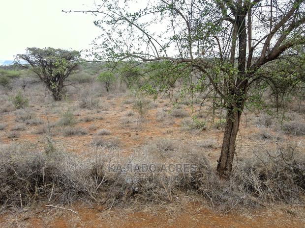 45 Acres Saikeri at 850k Per Acre - thumbnail 7