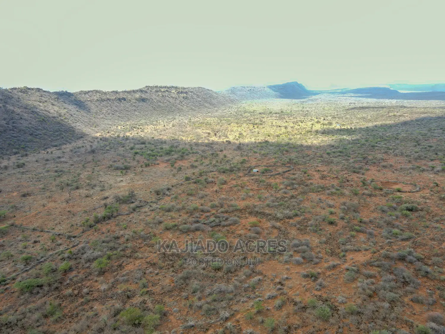 246 Acres Pion(Ilkisumeti) at Per Acre