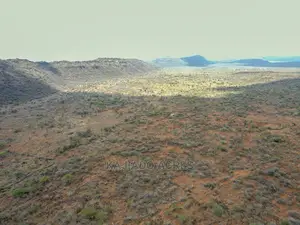 246 Acres Pion(Ilkisumeti) at Per Acre