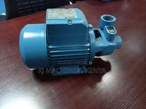 0.75hp Water Pump