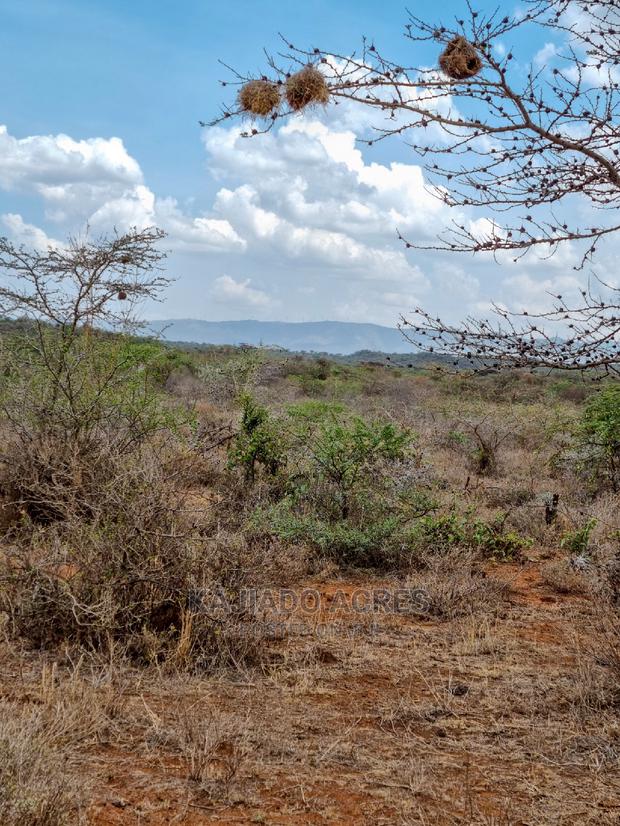 12 Acres Saikeri at 800k Per Acre - thumbnail 2