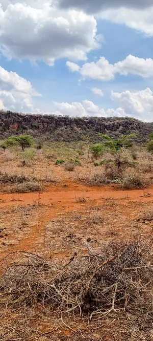 12 Acres Saikeri at 800k Per Acre