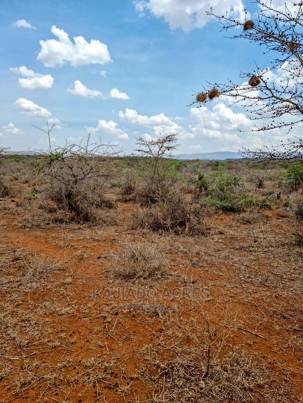 12 Acres Saikeri at 800k Per Acre - thumbnail 4