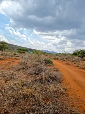 12 Acres Saikeri at 800k Per Acre