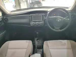 Toyota Axio 2016 Brown