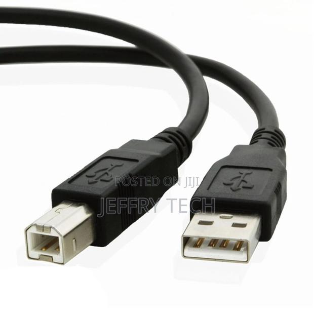 2B (Dc017) - Cable USB Printer M/M - 3M - thumbnail 2