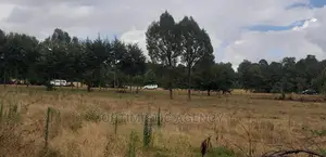 Prime Plots 4 SALE at Laikipia Nyahururu at KSH Only