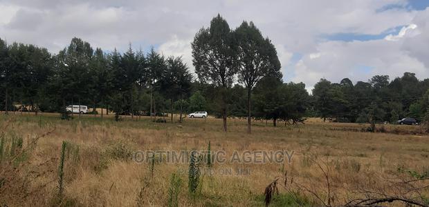Prime Plots 4 SALE at Laikipia Nyahururu at KSH Only
