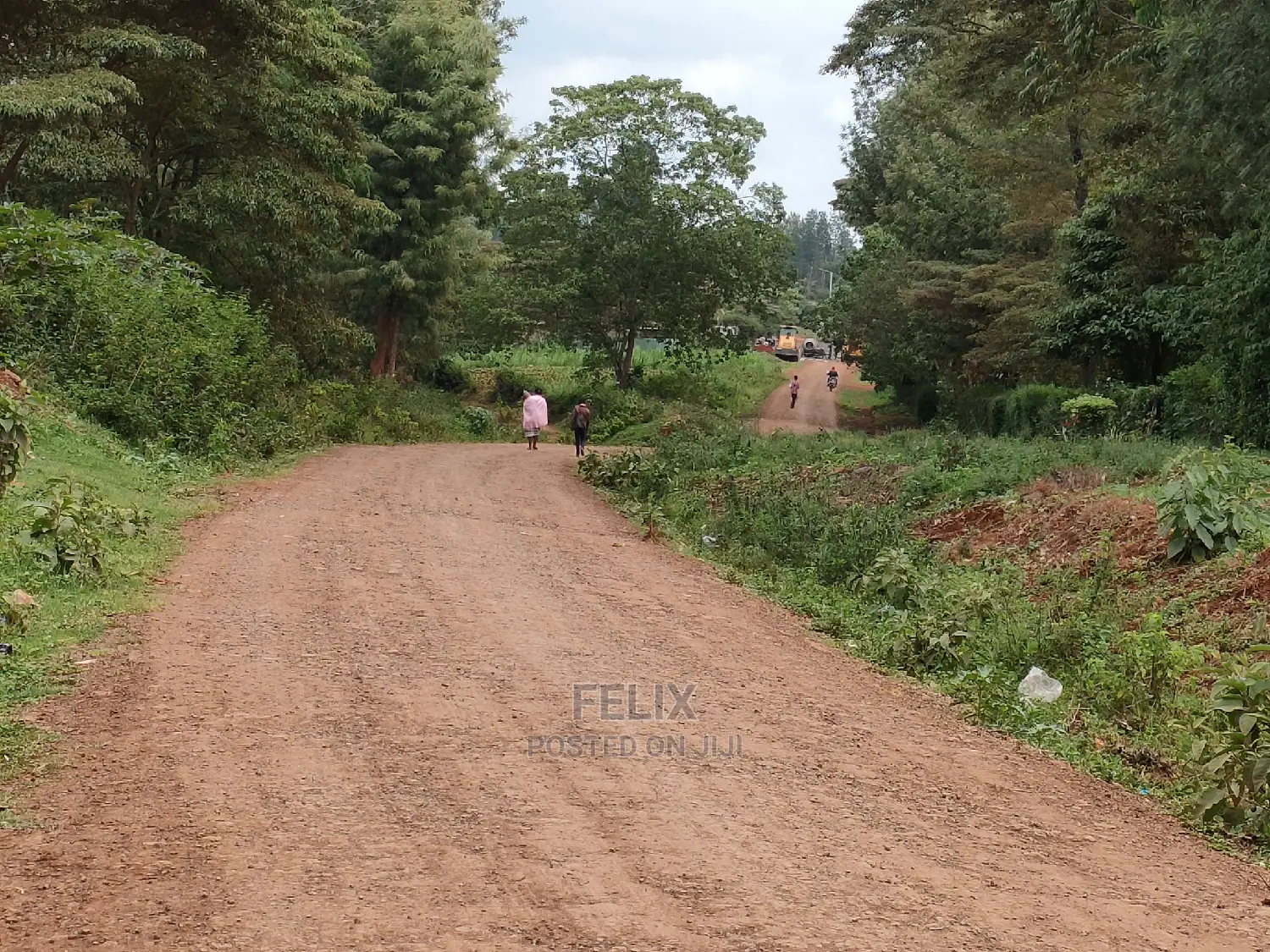 Nyeri /Giakanja 2 Acres