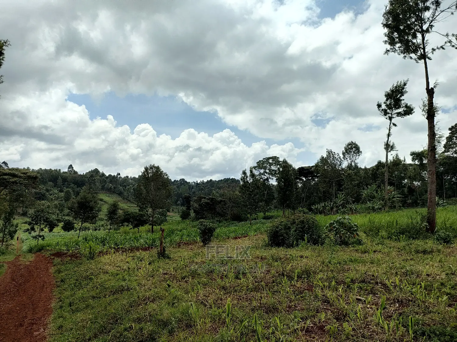 Nyeri /Giakanja 2 Acres