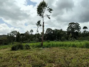 Nyeri /Giakanja 2 Acres