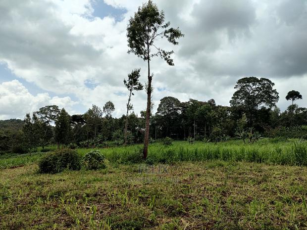 Nyeri /Giakanja 2 Acres - thumbnail 5