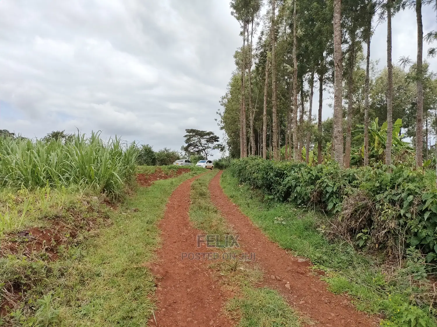 Nyeri /Giakanja 2 Acres