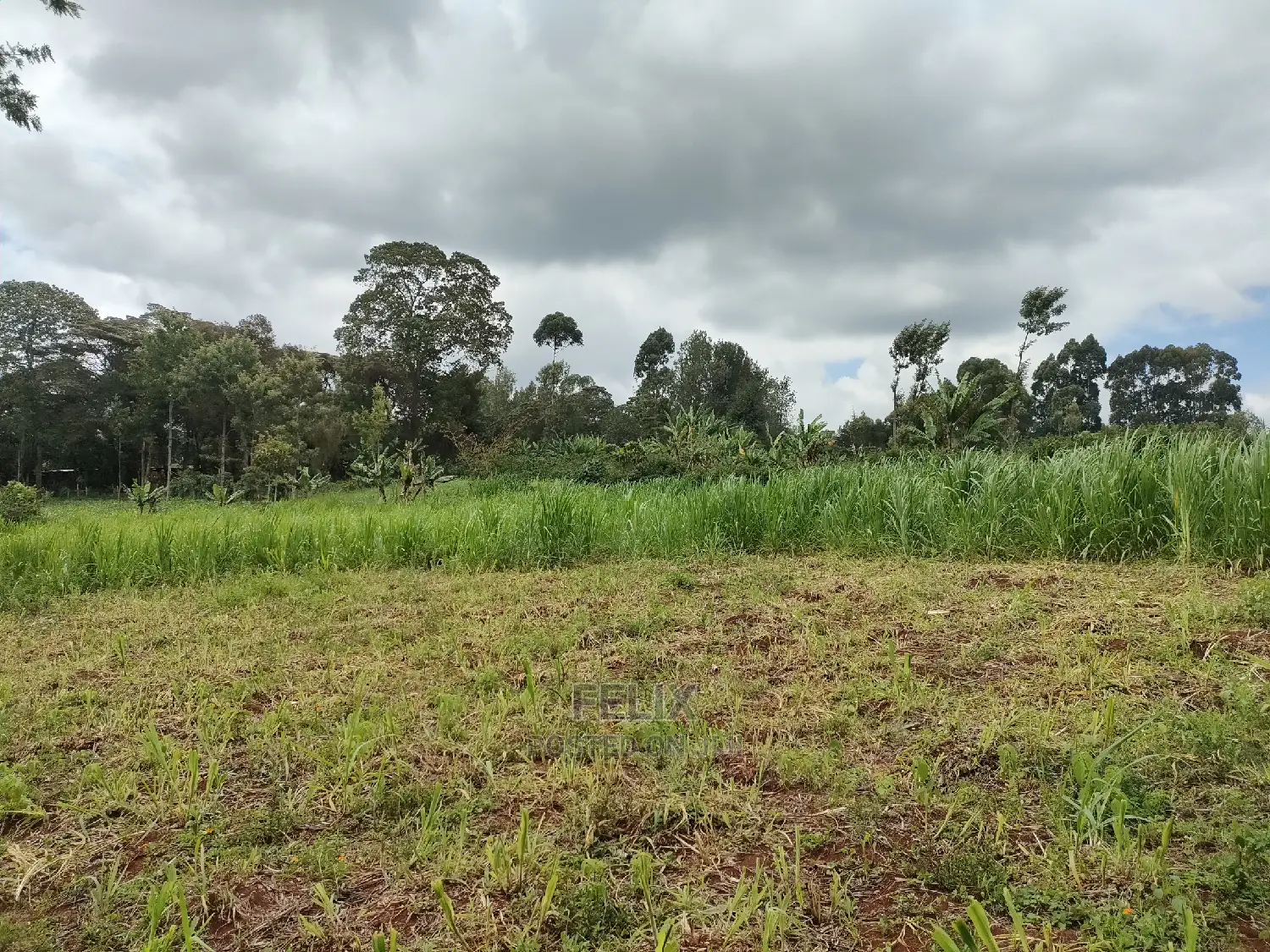 Nyeri /Giakanja 2 Acres