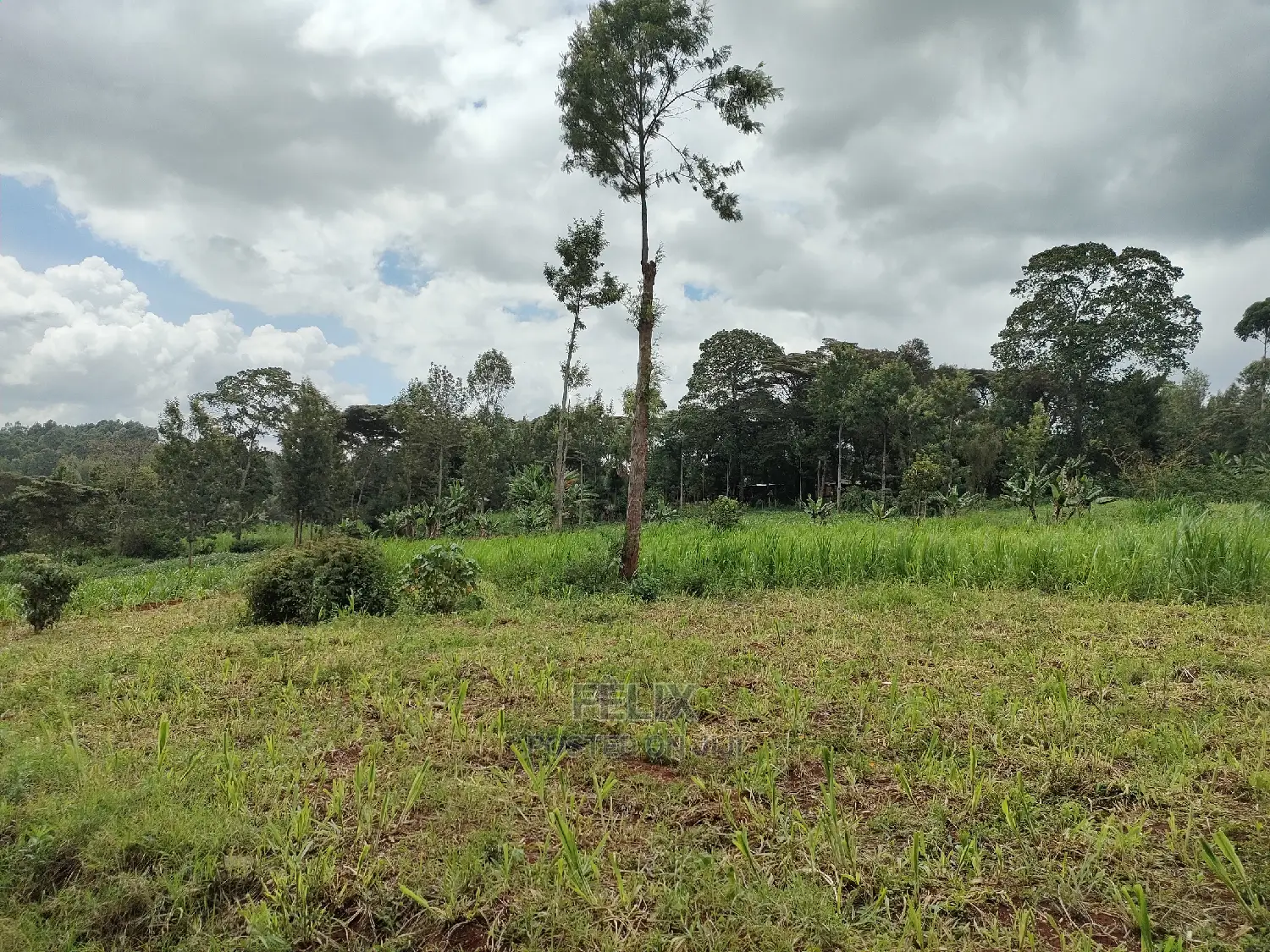 Nyeri /Giakanja 2 Acres
