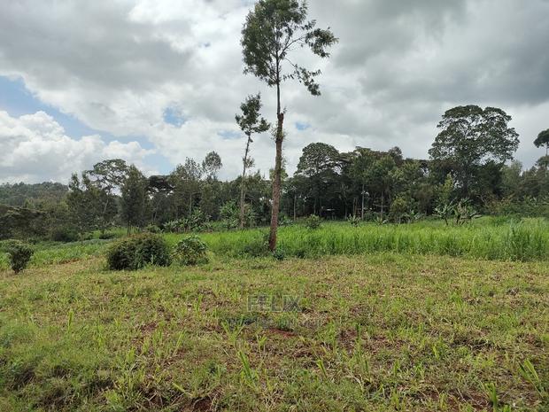 Nyeri /Giakanja 2 Acres - thumbnail 8