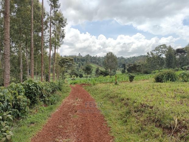 Nyeri /Giakanja 2 Acres - thumbnail 9