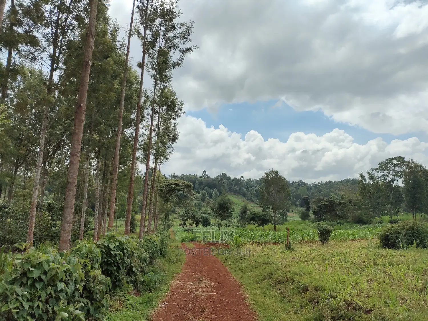 Nyeri /Giakanja 2 Acres