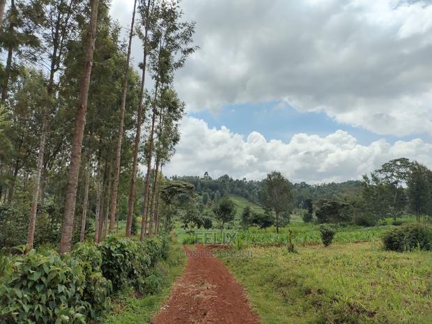 Nyeri /Giakanja 2 Acres - thumbnail 10