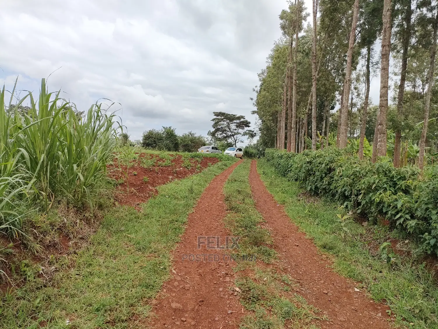 Nyeri /Giakanja 2 Acres