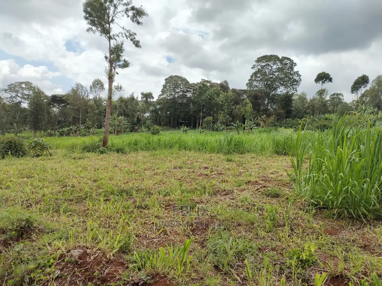 Nyeri /Giakanja 2 Acres