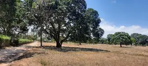 12 Months Instalment,50/100 Plots on Sale at Animo Mtwapa