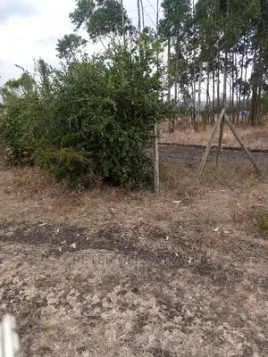 Ongata Rongai Prime Plots