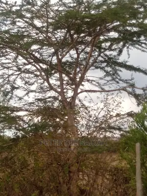 Ongata Rongai Prime Plots