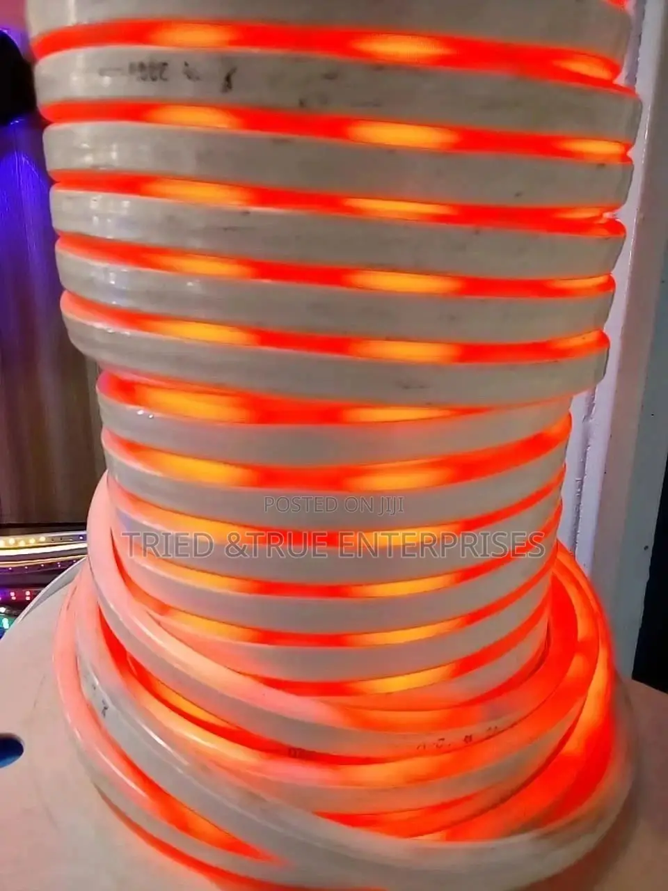 Neon Snake Light