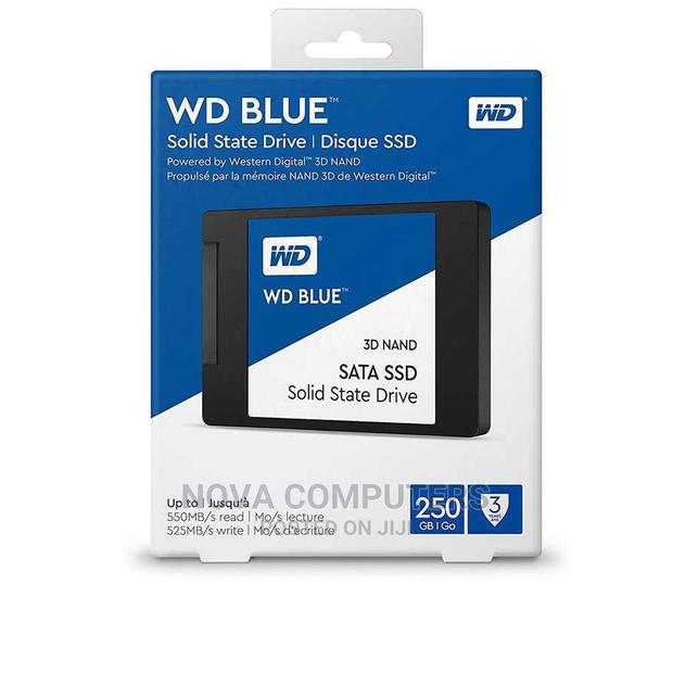 WD Bluetm 2.5" Sata 250gb Internal Ssd - main view