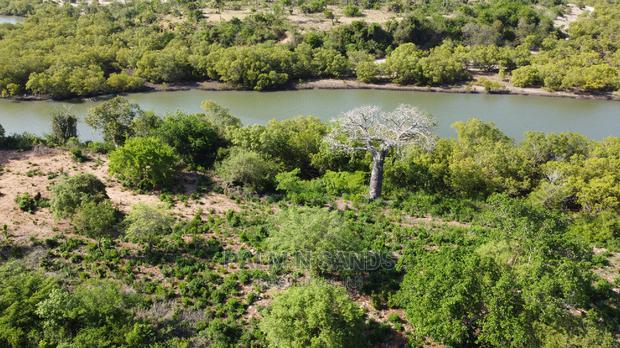 Diani Beach Prime Four Acres - thumbnail 7