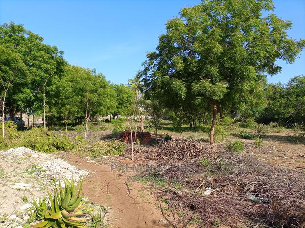 Diani Beach Prime Four Acres - thumbnail 9