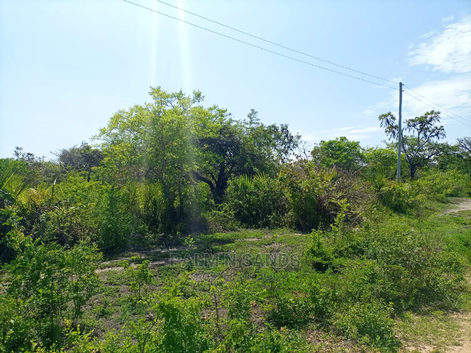 Galu Kinondo Second Row Beach Plot