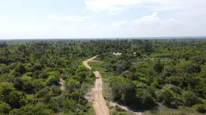 Galu Kinondo Second Row Beach Plot