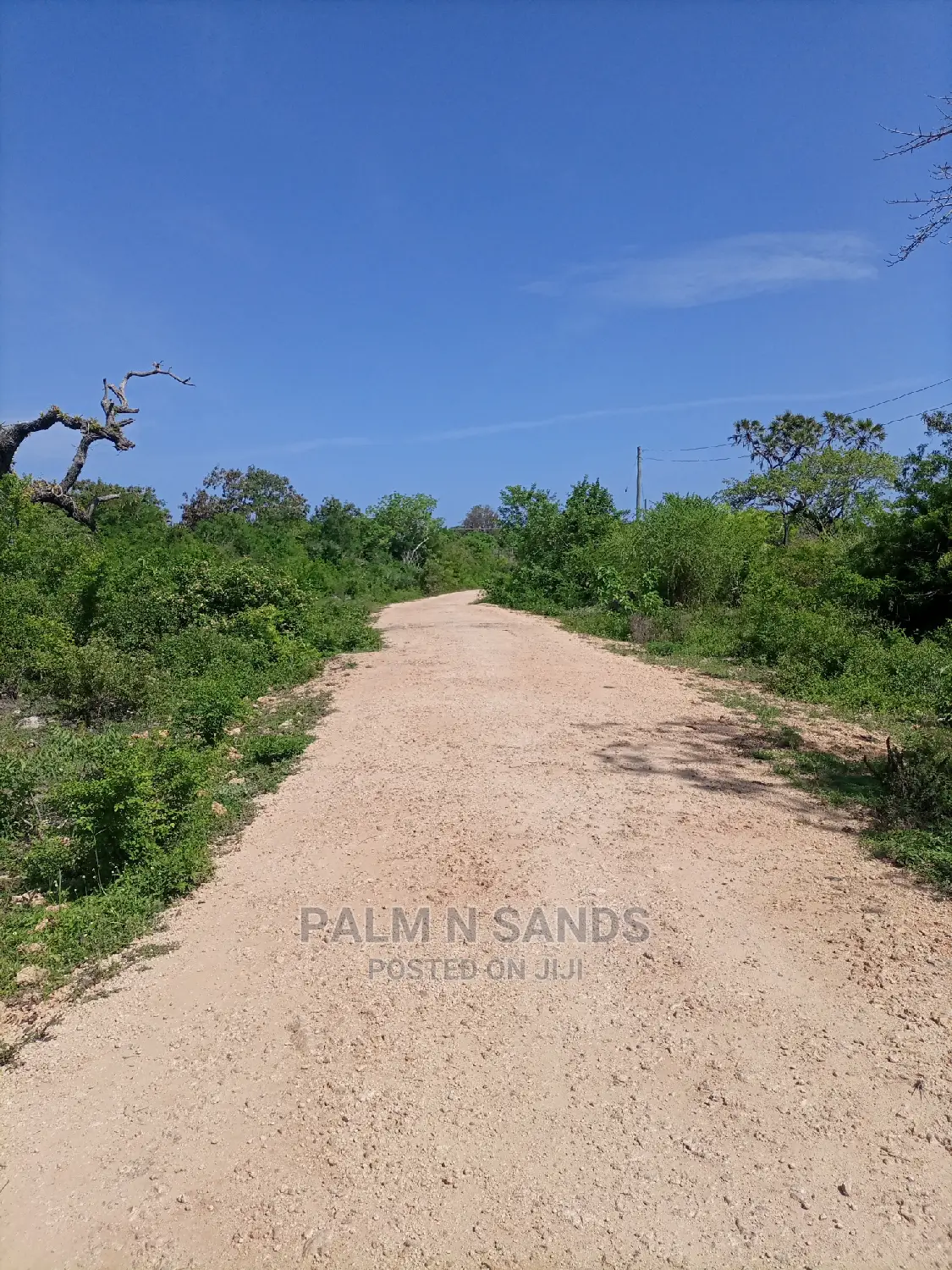 Galu Kinondo Second Row Beach Plot