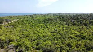 Galu Kinondo Second Row Beach Plot