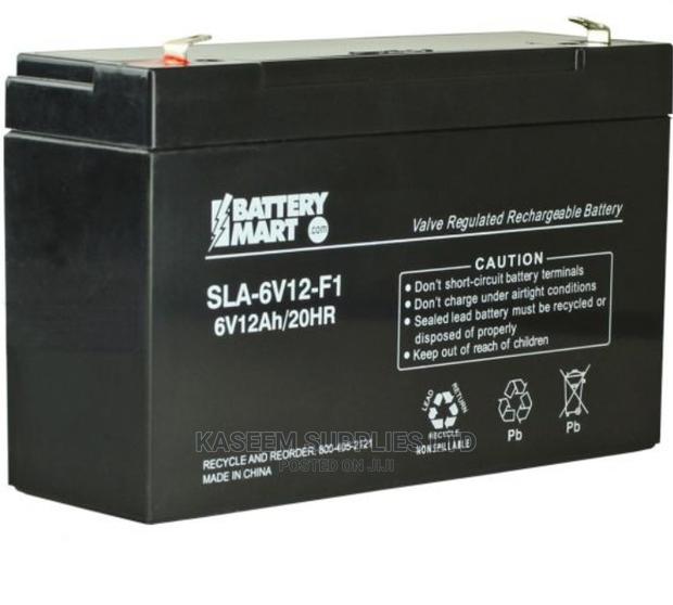 Lab Acid Accumulator 6v 15AH - main view