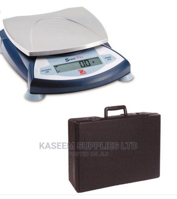 Balance Electronic OHAUS SCOUT PRO 600 × 0.1G