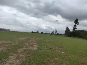 Chaka/Main Tarmac Prime Plots on Sale