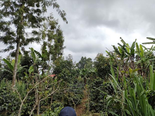 Karatina /Karura Half Acre With Coffee - thumbnail 3