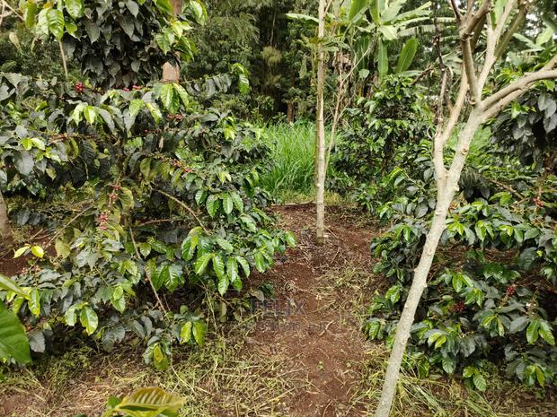 Karatina /Karura Half Acre With Coffee - thumbnail 4