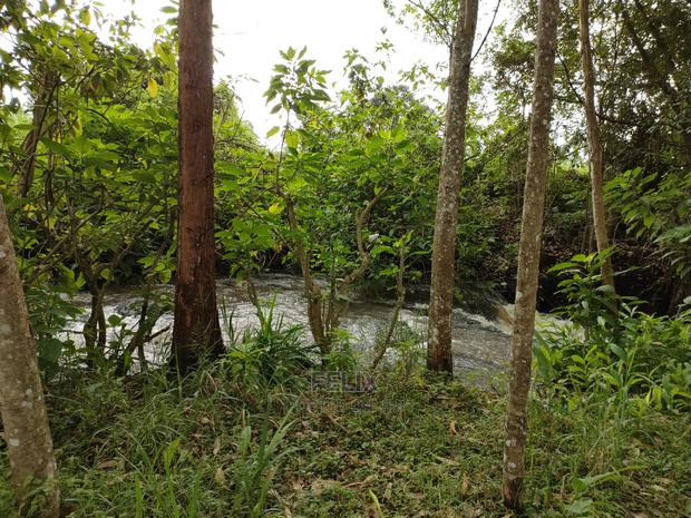 Karatina /Karura Half Acre With Coffee - thumbnail 10