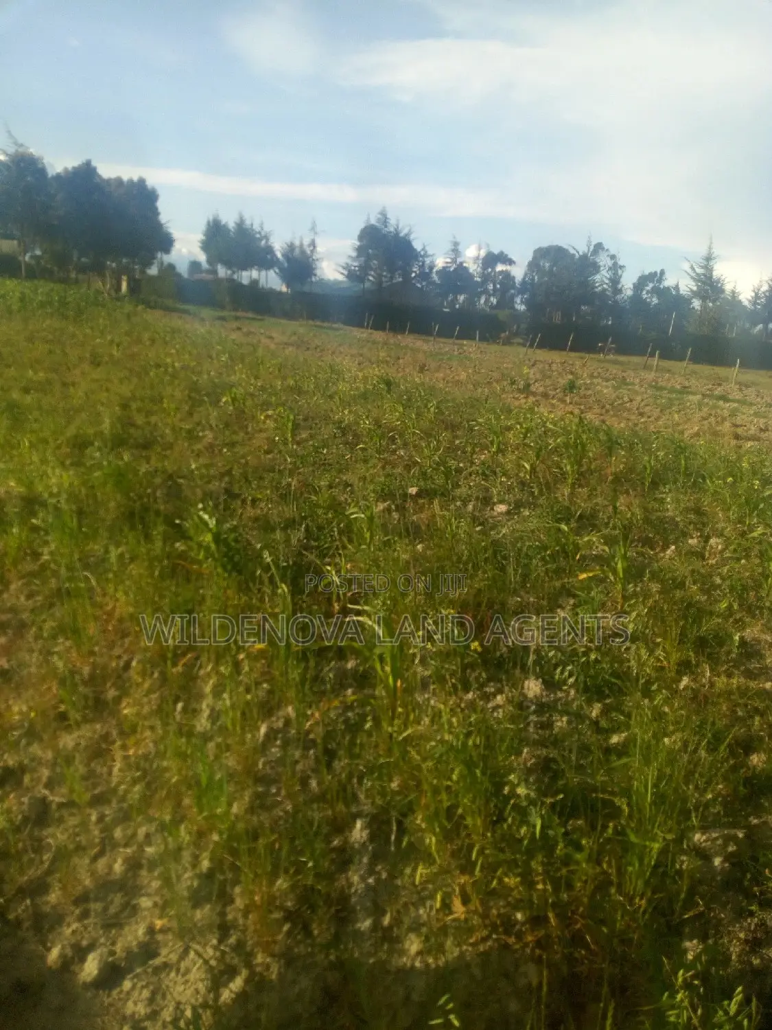 1 Acre of Land on Sale at South Kinangop
