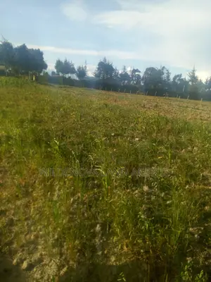1 Acre of Land on Sale at South Kinangop