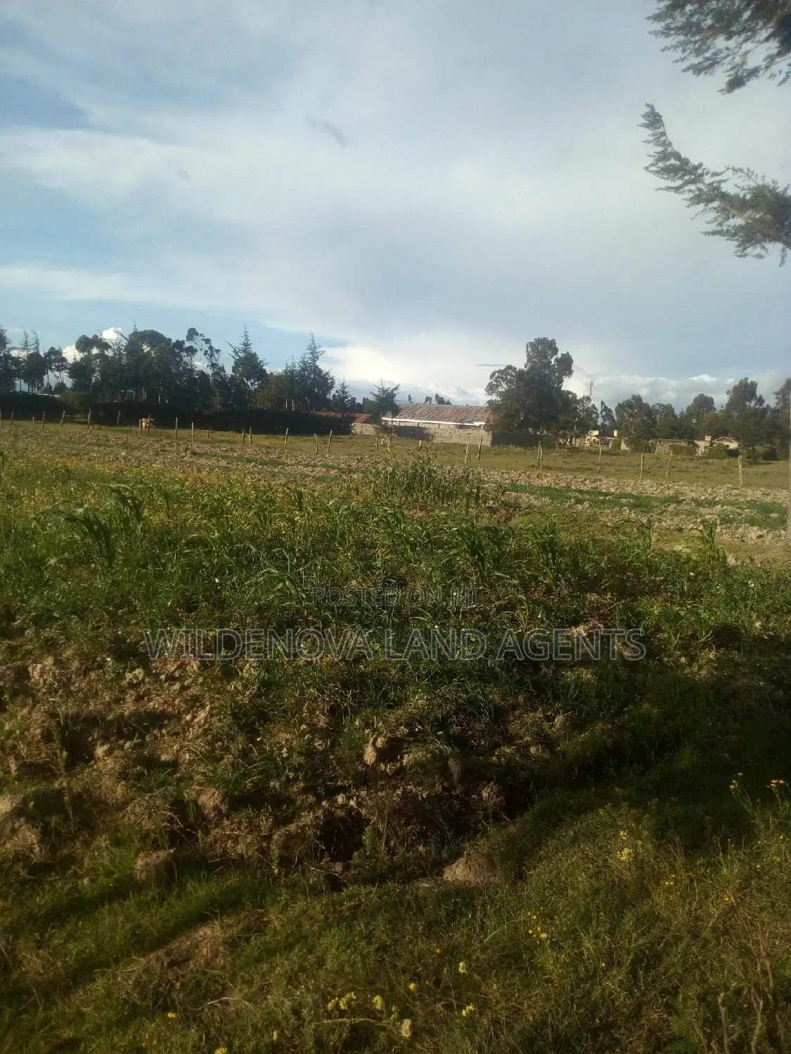 1 Acre of Land on Sale at South Kinangop