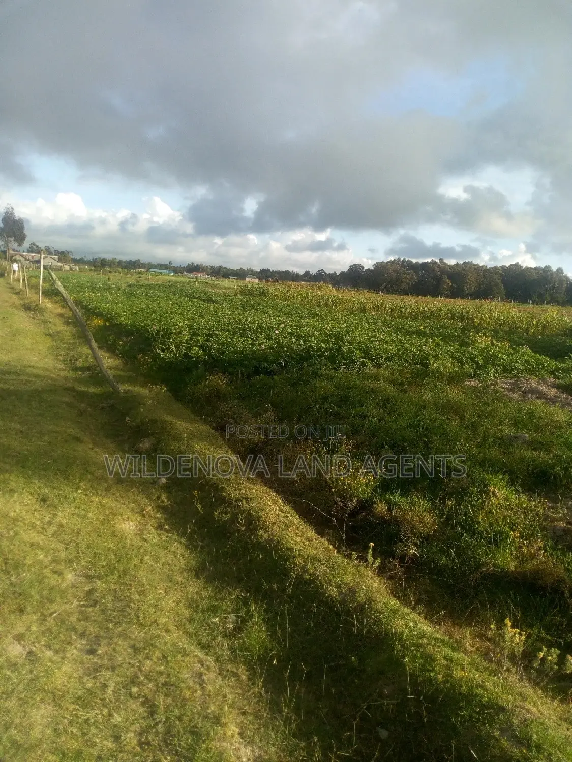 1 Acre of Land on Sale at South Kinangop
