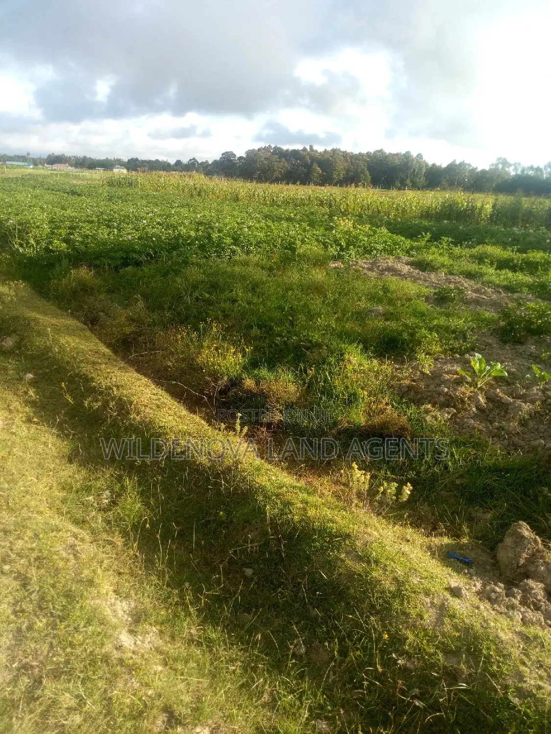 1 Acre of Land on Sale at South Kinangop
