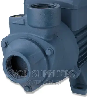 Electric Centrifugal Clear Water Pump, 1 HP