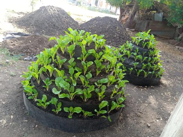 Multistorey Garden - main view